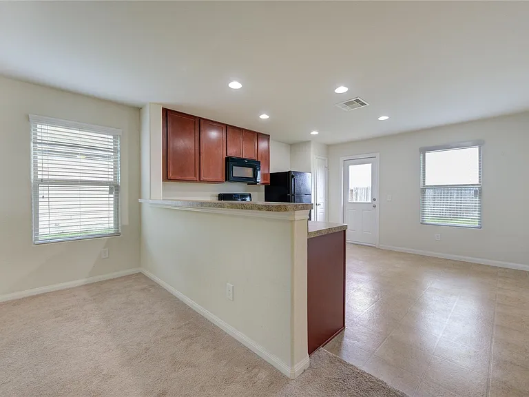 1315 Pease River Ln — Photo 13