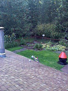Back yard