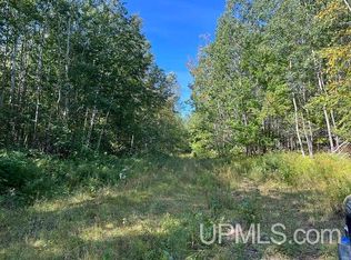 120 Acres Off, Skandia, MI 49885