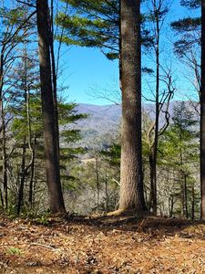 8 Top Horseshoe Rdg, Murphy, NC, 28906