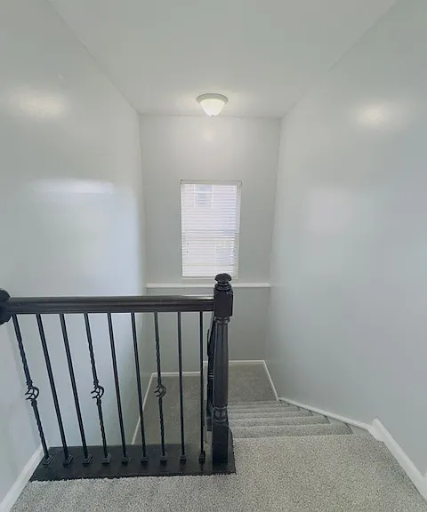 14082 Northcoat Pl — Photo 29