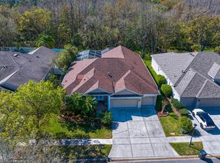 8205 Prairie Ridge Way, Tampa, FL 33647