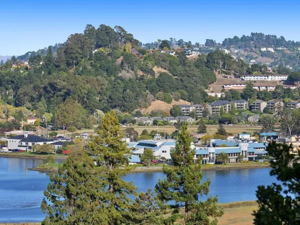 209 California Avenue, Mill Valley, CA 94941