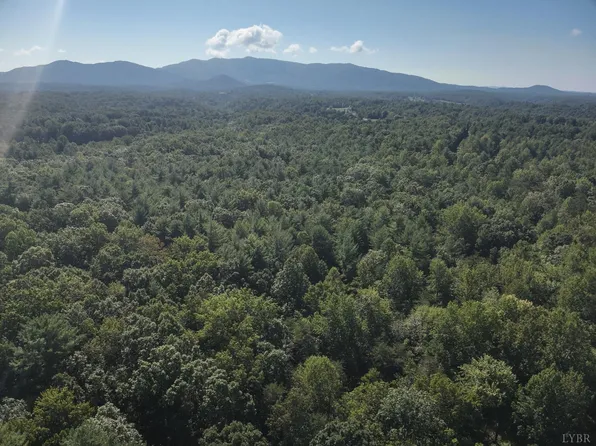 0 Beverly Town Rd, Monroe, VA 24574