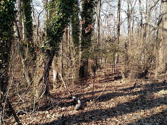 Image 4: IMG_20180121_153610992