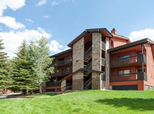 855 S 5th Ave APT 316, Frisco, CO 80443