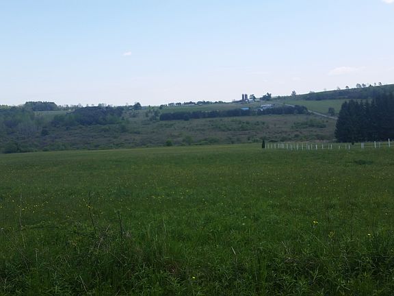 Maybe raise animals too