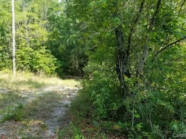 131 Paige Ct, Leesville, SC 29070