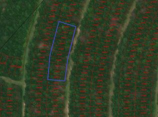 Wood Frst LOT 544-553, Livingston, TX 77351