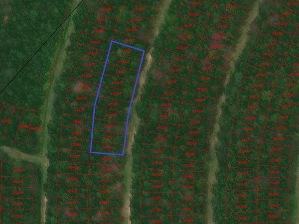 0 Wood Frst Lot 544-553, Livingston, TX 77351