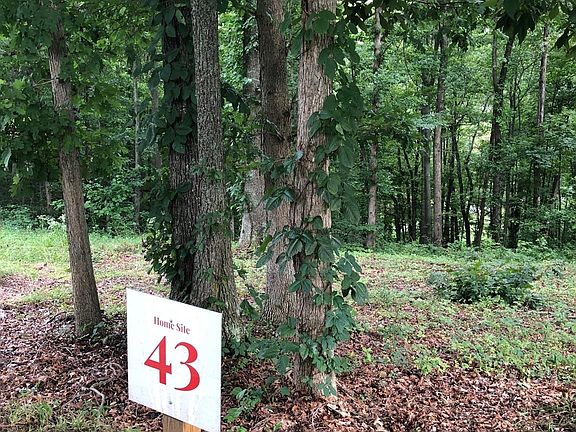 3rd image of 45 Sweet Fern Pkwy #43