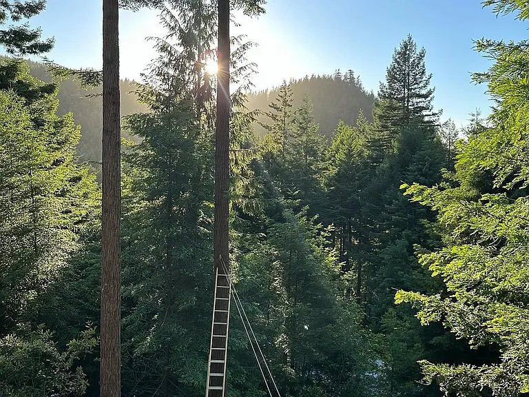 Sunshine!