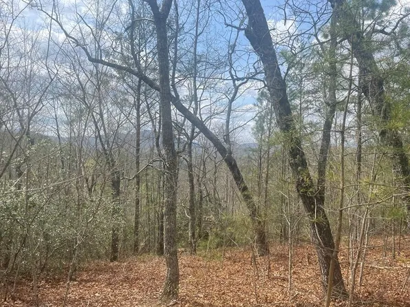76-3 Mockingbird Trl, Bryson City, NC 28713
