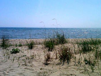 89 FEET OF SANDY, WALKING BEACH