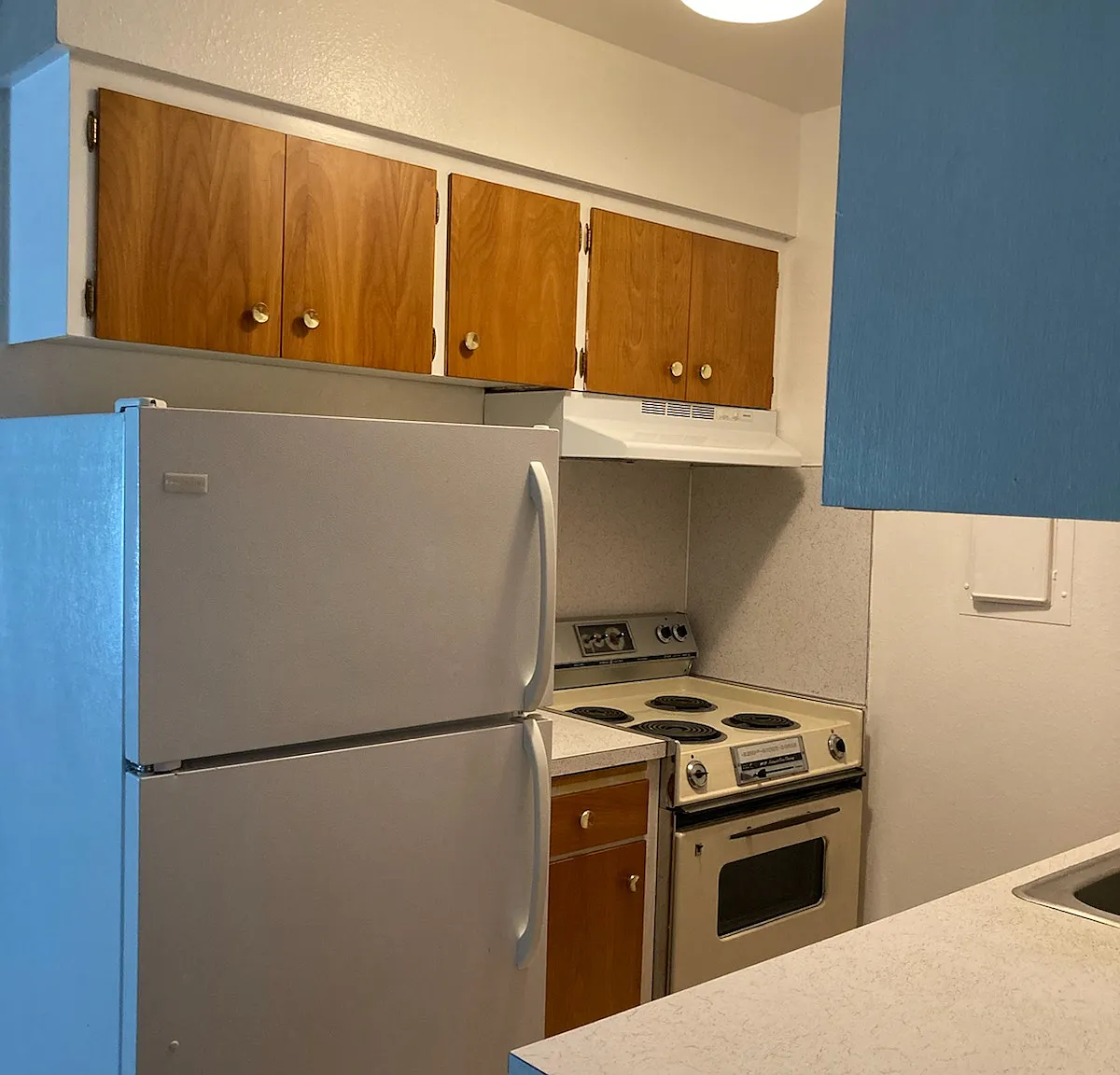 1 bed, $1,350 — Photo 1