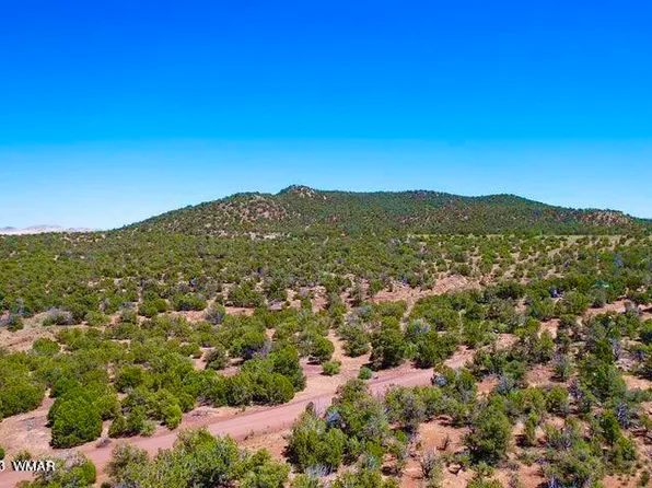 23 County Road 3037, Concho, AZ 85924