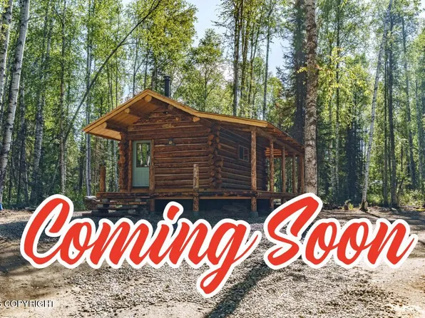 25842 W Southlake Dr, Willow, AK 99688