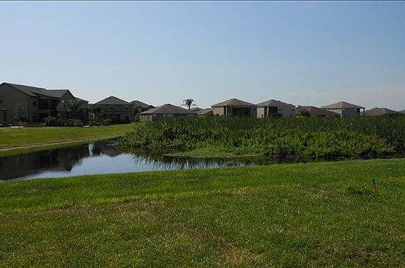 Pond View