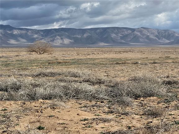 4th image of 312-15-176B Antares Road