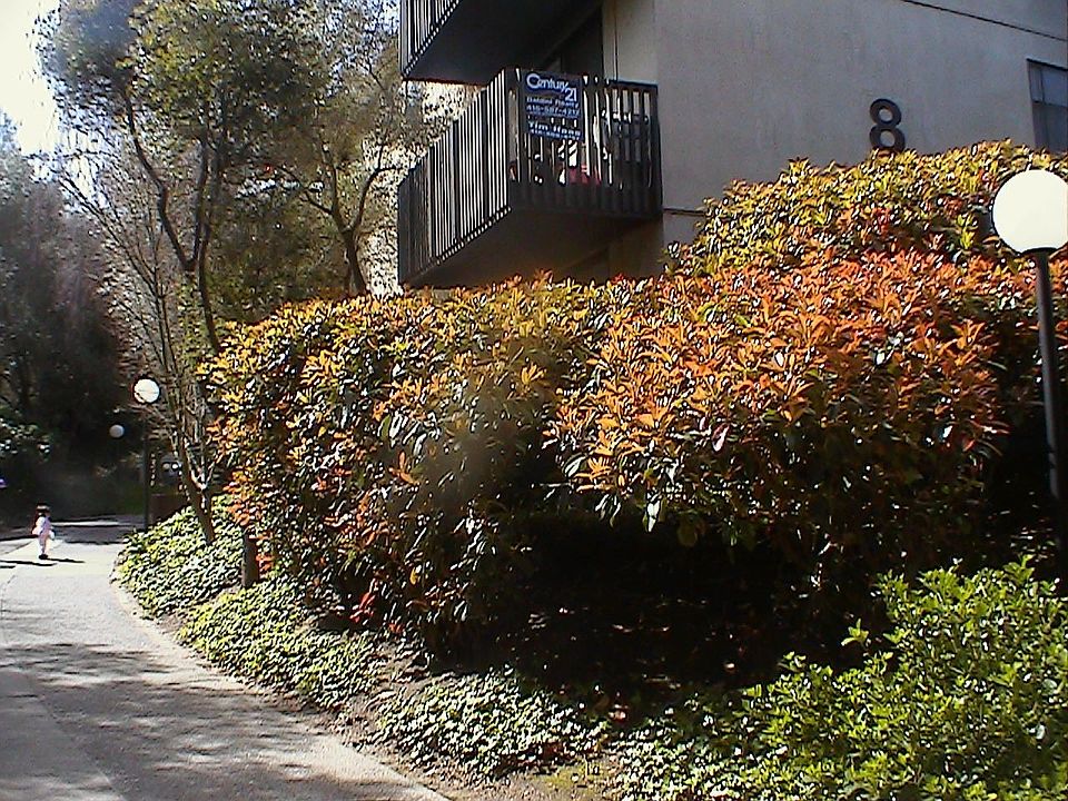 1st image of 8259 Shelter Creek Ln