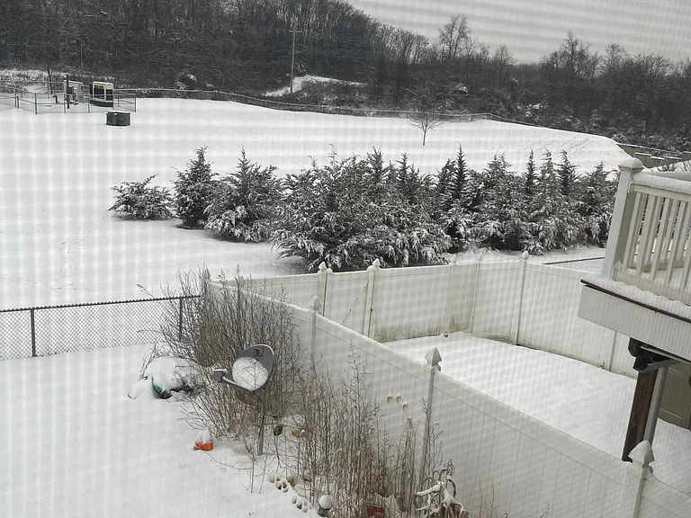 yard view -snow slide