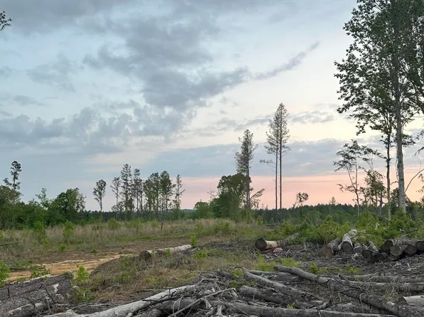 0 Pleasant Ridge Rd, Lexington, MS 39095