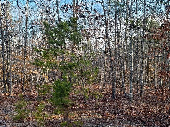 4th image of Sharps Creek Dr