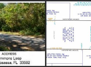 9910 Timmons Rd, Thonotosassa, FL 33592