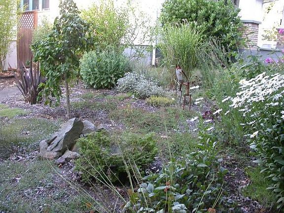 front yard