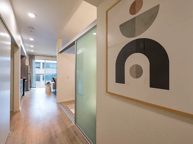Some studio apartments feature a privacy wall for maximum utilization of space