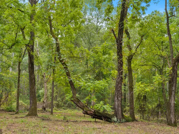 0 State Highway 352, Buena Vista, GA 31803