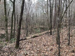 Carver Pointe Rd, Coffeeville, MS 38922