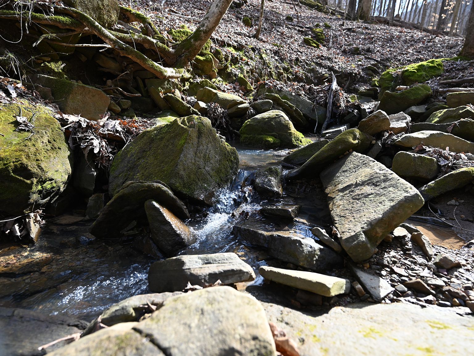 Tbt Cres 1944, Collinsville, AL 35961 MLS 11152866 Zillow