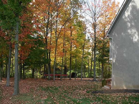 5th image of 6504 Brodie Blvd