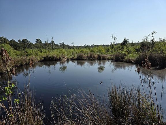 3rd image of /old Sour Lake Rd