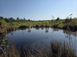 37020 Old Sour Lake Rd, Sour Lake, TX 77659