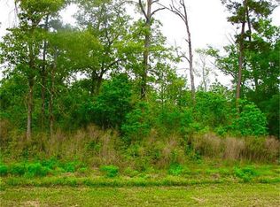 6315 Velvet Sky Ct, Spring, TX 77386