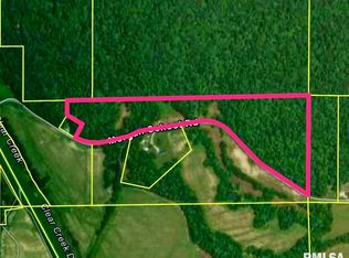 Morgan School Rd, Jonesboro, IL 62952