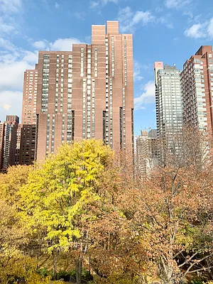 Rented by Living New York | media 19