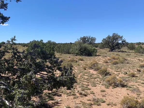 8962 W Cloud Cover Way, Williams, AZ 86046