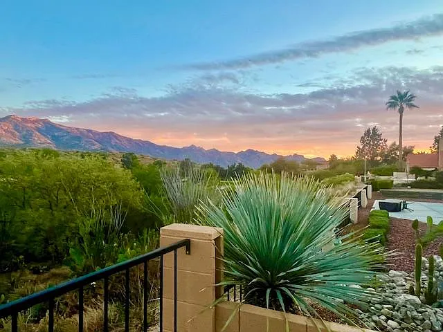 37401 S Samaniego Dr — Photo 34