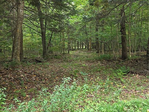 3rd image of Woodland Dr