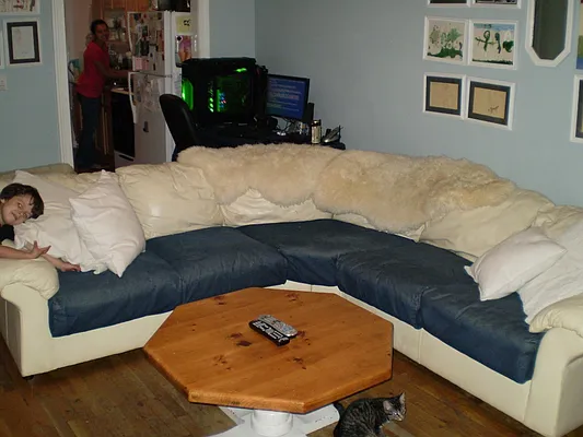 Rented by Maximus Realty Group | media 32