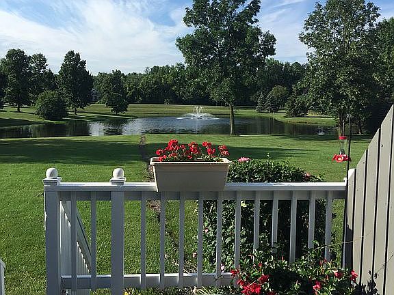 Summer view from deck.