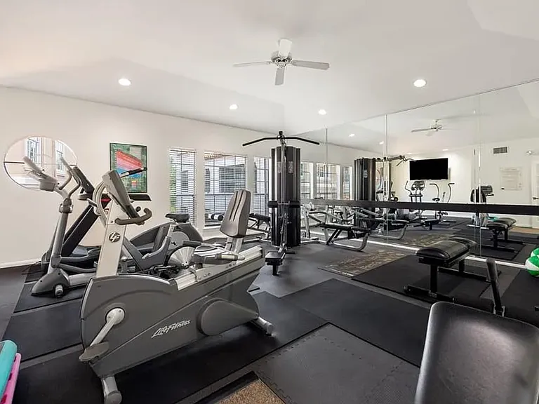 3231 Allen Pkwy #6103 — Photo 13