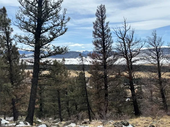 00 Bonell, Fairplay, CO 80440