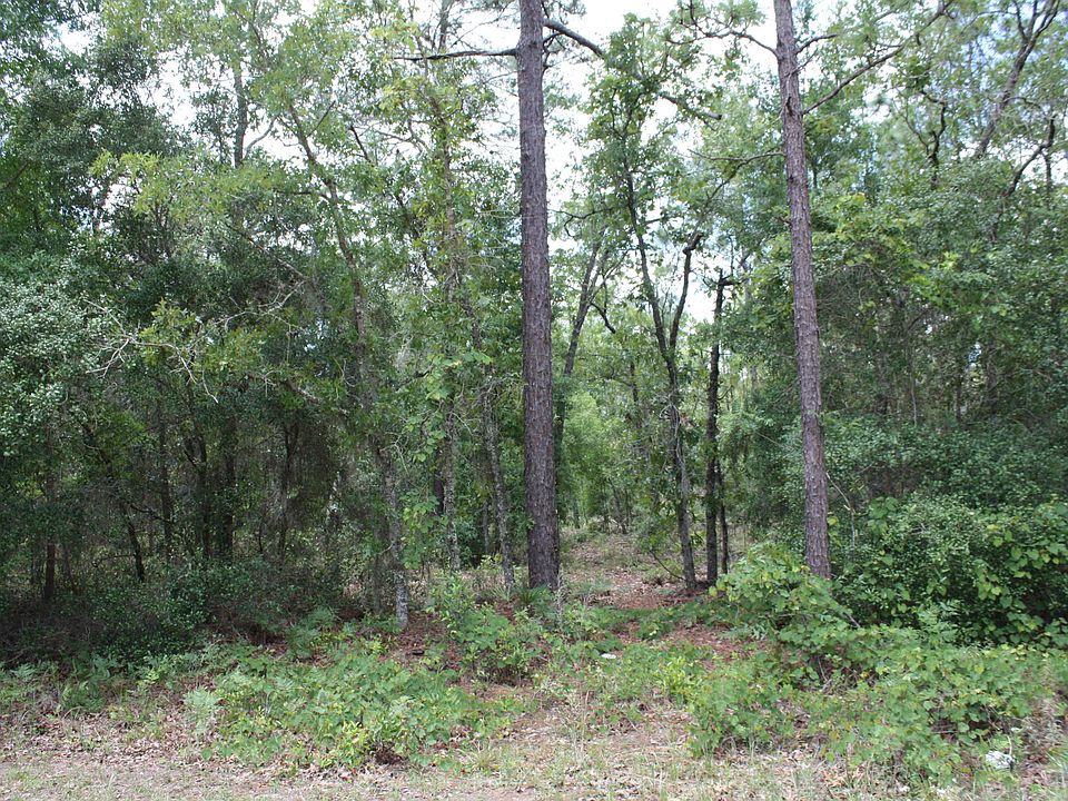 2nd image of 5558 ACADIA Street