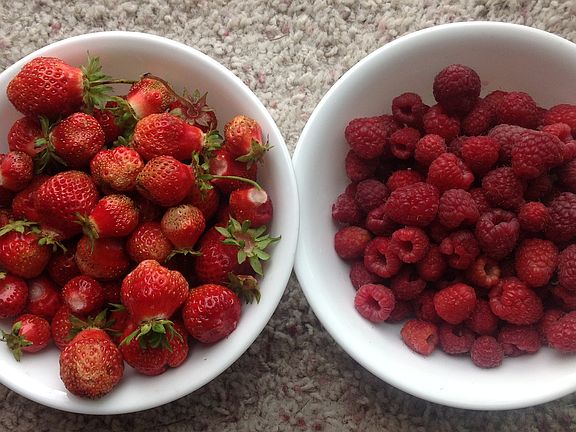 Daily haul in late June