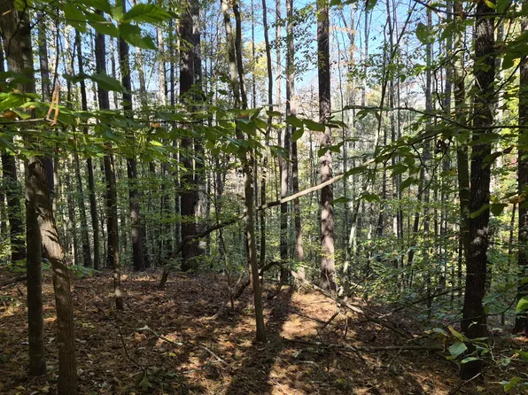 Riverside Rd, Buena Vista, VA 24416