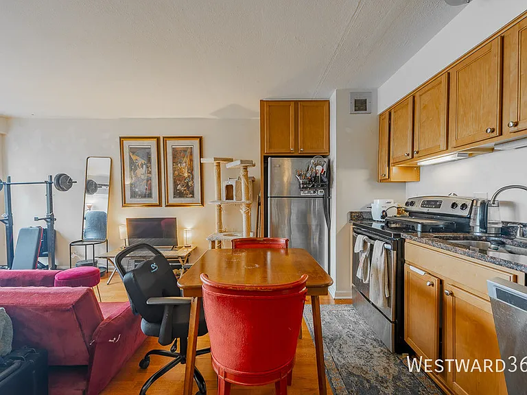 3100 N Lake Shore Dr #1912 — Photo 5